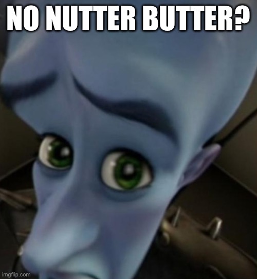 No butter butter? | NO NUTTER BUTTER? | image tagged in megamind no bitches | made w/ Imgflip meme maker