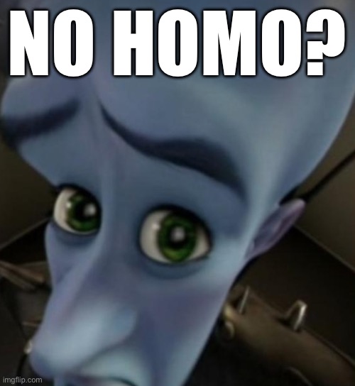No homo? | NO HOMO? | image tagged in megamind no bitches,gay,no homo | made w/ Imgflip meme maker