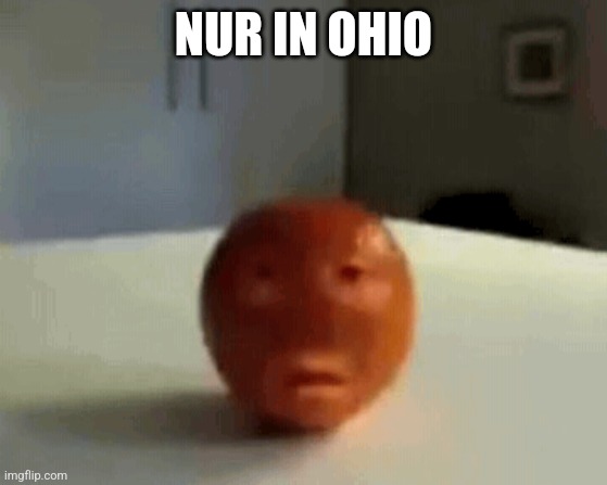 b | NUR IN OHIO | image tagged in b | made w/ Imgflip meme maker