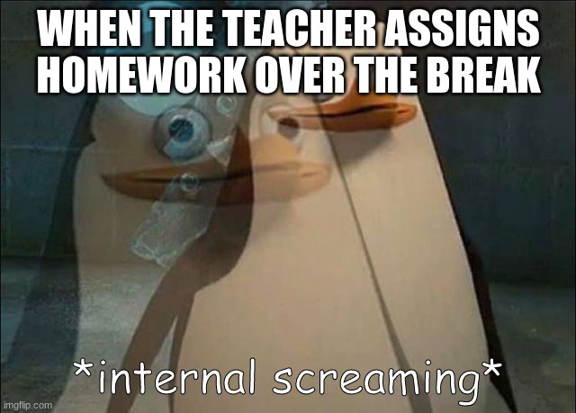 Hehe | WHEN THE TEACHER ASSIGNS HOMEWORK OVER THE BREAK | image tagged in private internal screaming | made w/ Imgflip meme maker