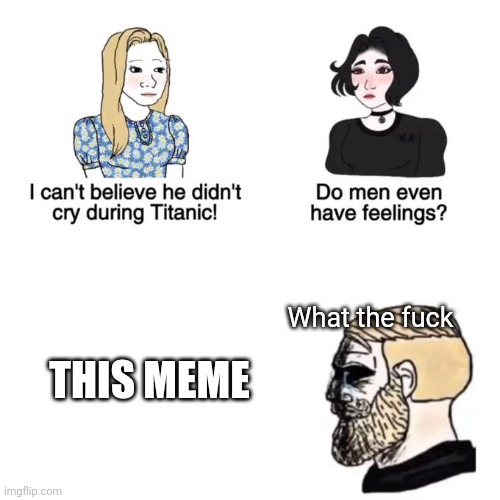 I cant believe he didnt cry | THIS MEME What the fuck | image tagged in i cant believe he didnt cry | made w/ Imgflip meme maker