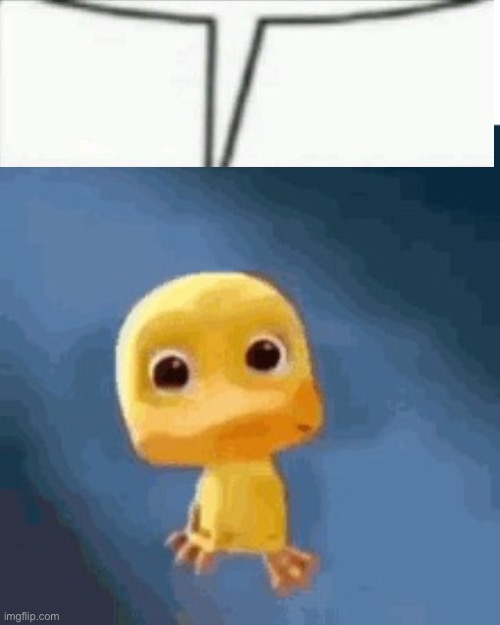 Crying duck | image tagged in crying duck | made w/ Imgflip meme maker