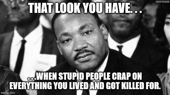 MLK disappointed | THAT LOOK YOU HAVE. . . . . .WHEN STUPID PEOPLE CRAP ON EVERYTHING YOU LIVED AND GOT KILLED FOR. | image tagged in mlk disappointed | made w/ Imgflip meme maker