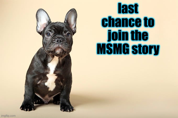 KSDawg | last chance to join the MSMG story | image tagged in ksdawg | made w/ Imgflip meme maker