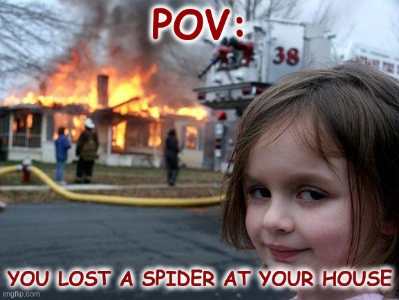 Disaster Girl Meme | POV:; YOU LOST A SPIDER AT YOUR HOUSE | image tagged in memes,disaster girl | made w/ Imgflip meme maker