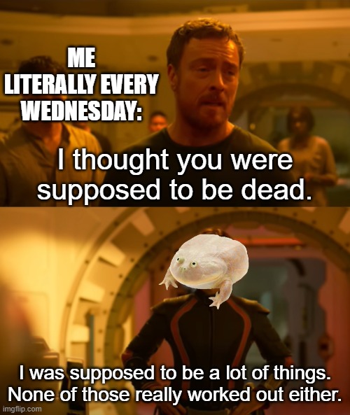 Still want to know why them frogs announce Wednesday | ME LITERALLY EVERY WEDNESDAY: | image tagged in i thought you were supposed to be dead,it is wednesday my dudes,frog,wednesday | made w/ Imgflip meme maker