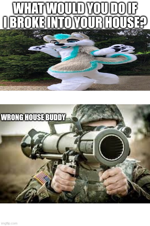 anti furry | WHAT WOULD YOU DO IF I BROKE INTO YOUR HOUSE? WRONG HOUSE BUDDY | image tagged in funny memes | made w/ Imgflip meme maker