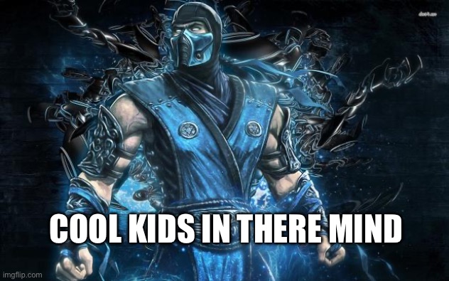Mortal Kombat Sub-Zero | COOL KIDS IN THERE MIND | image tagged in mortal kombat sub-zero | made w/ Imgflip meme maker