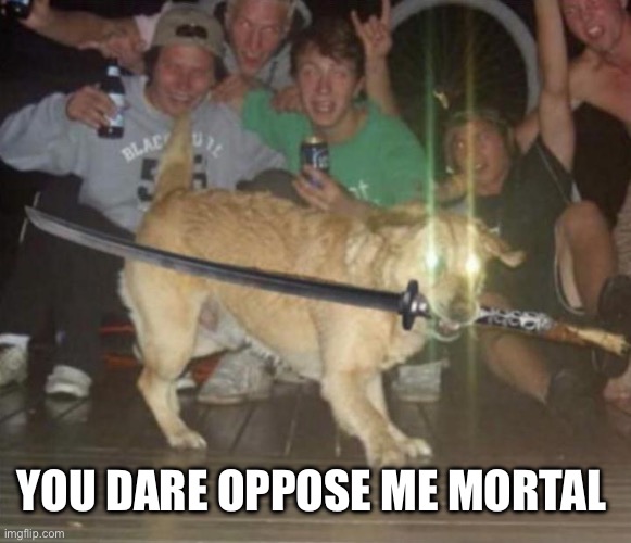 You dare oppose me mortal | YOU DARE OPPOSE ME MORTAL | image tagged in you dare oppose me mortal | made w/ Imgflip meme maker