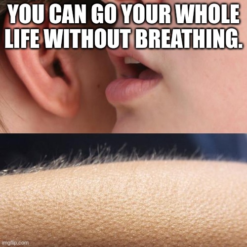 Whisper and Goosebumps | YOU CAN GO YOUR WHOLE LIFE WITHOUT BREATHING. | image tagged in whisper and goosebumps | made w/ Imgflip meme maker