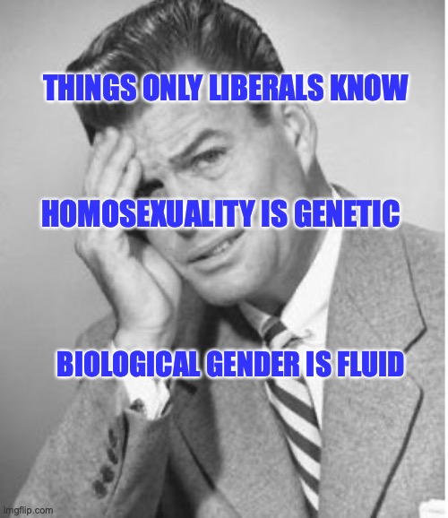 Things Only Liberals Know | THINGS ONLY LIBERALS KNOW; HOMOSEXUALITY IS GENETIC; BIOLOGICAL GENDER IS FLUID | image tagged in stupid,biology,genders | made w/ Imgflip meme maker