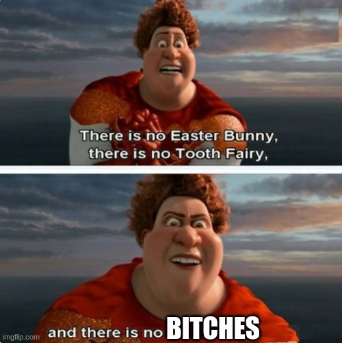 me after roasting haters | BITCHES | image tagged in tighten megamind there is no easter bunny | made w/ Imgflip meme maker