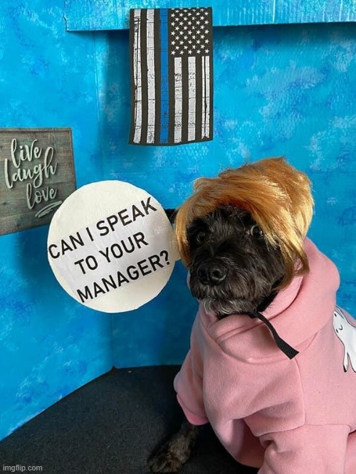 dog karen | image tagged in dogs | made w/ Imgflip meme maker