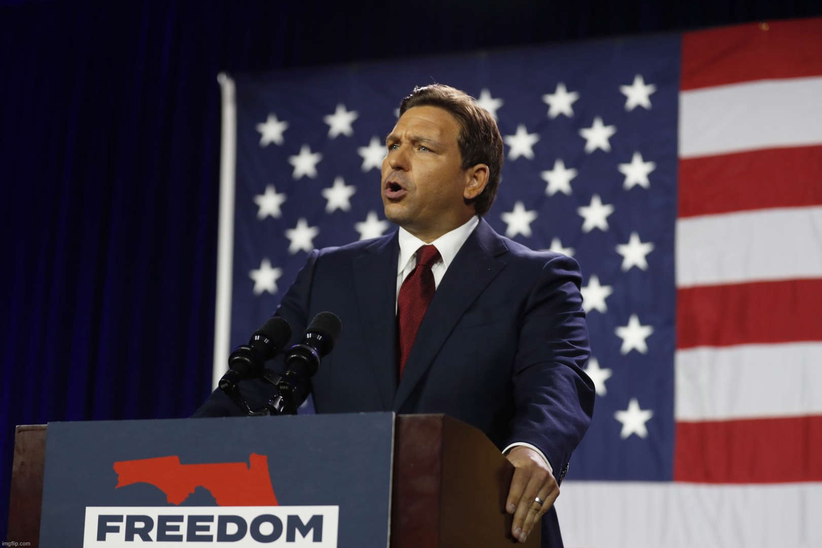 Ron DeSantis Freedom | image tagged in ron desantis freedom | made w/ Imgflip meme maker