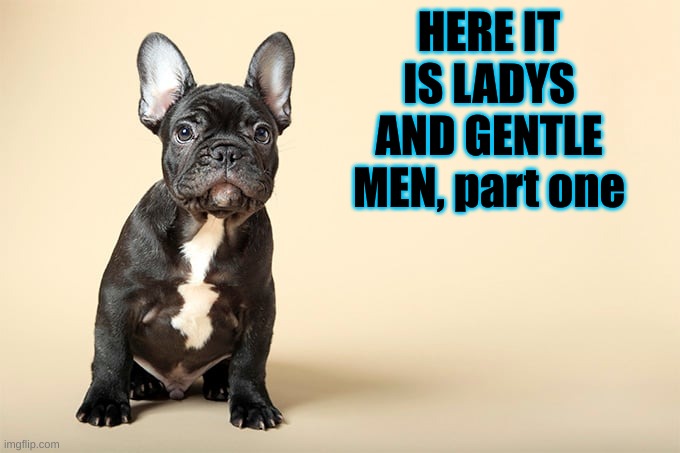 KSDawg | HERE IT IS LADYS AND GENTLE MEN, part one | image tagged in ksdawg | made w/ Imgflip meme maker
