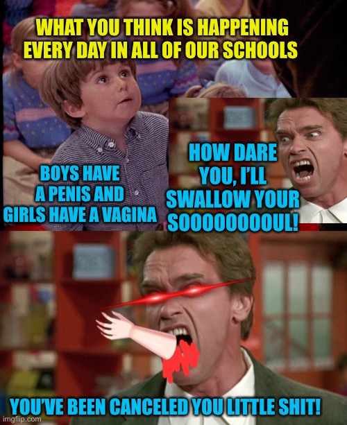 BOYS HAVE A PENIS AND GIRLS HAVE A VAGINA HOW DARE YOU, I’LL SWALLOW YOUR SOOOOOOOOUL! YOU’VE BEEN CANCELED YOU LITTLE SHIT! WHAT YOU THINK  | image tagged in kindergarten cop kid,arnold schwarzenegger screaming kindergarten cop | made w/ Imgflip meme maker