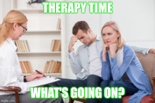 Husband and wife therapist | THERAPY TIME; WHAT'S GOING ON? | image tagged in husband and wife therapist | made w/ Imgflip meme maker