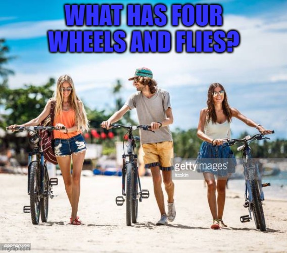 WHAT HAS FOUR WHEELS AND FLIES? | image tagged in riddle | made w/ Imgflip meme maker