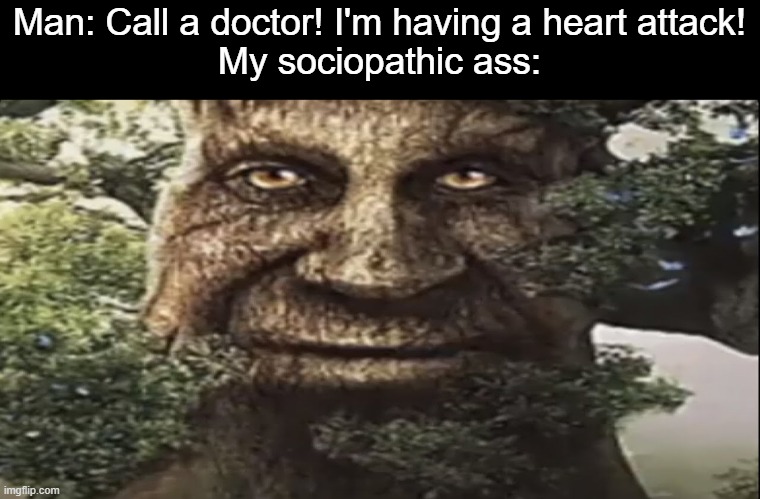 Eh, death is just a gateway to a better world | Man: Call a doctor! I'm having a heart attack!
My sociopathic ass: | image tagged in wise mystical tree,sociopath,dark humor | made w/ Imgflip meme maker