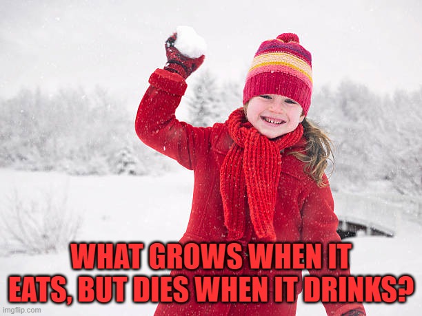 WHAT GROWS WHEN IT EATS, BUT DIES WHEN IT DRINKS? | image tagged in riddle | made w/ Imgflip meme maker