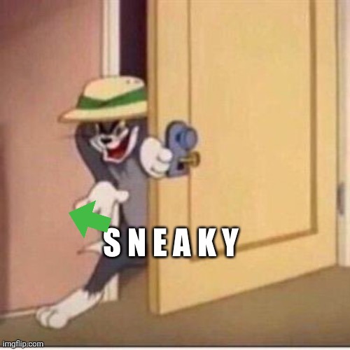 S N E A K Y | image tagged in s n e a k y | made w/ Imgflip meme maker
