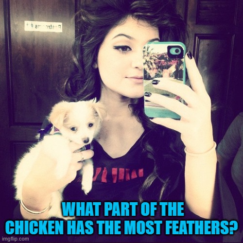 WHAT PART OF THE CHICKEN HAS THE MOST FEATHERS? | image tagged in riddle | made w/ Imgflip meme maker