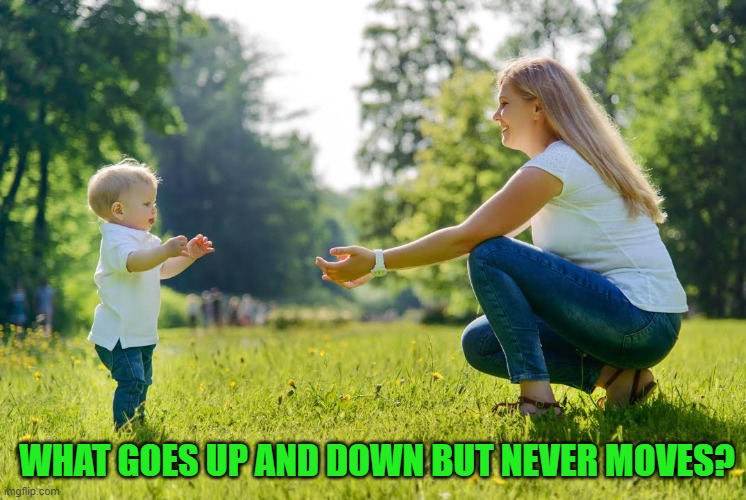 WHAT GOES UP AND DOWN BUT NEVER MOVES? | image tagged in riddle | made w/ Imgflip meme maker