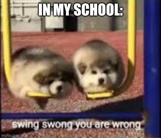 swing swong | IN MY SCHOOL: | image tagged in swing swong | made w/ Imgflip meme maker