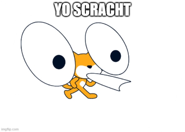 YO SCRACHT | made w/ Imgflip meme maker