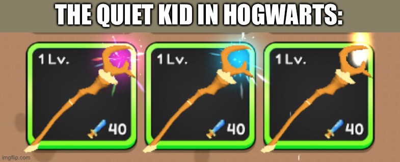 The | THE QUIET KID IN HOGWARTS: | image tagged in balls,gaming | made w/ Imgflip meme maker