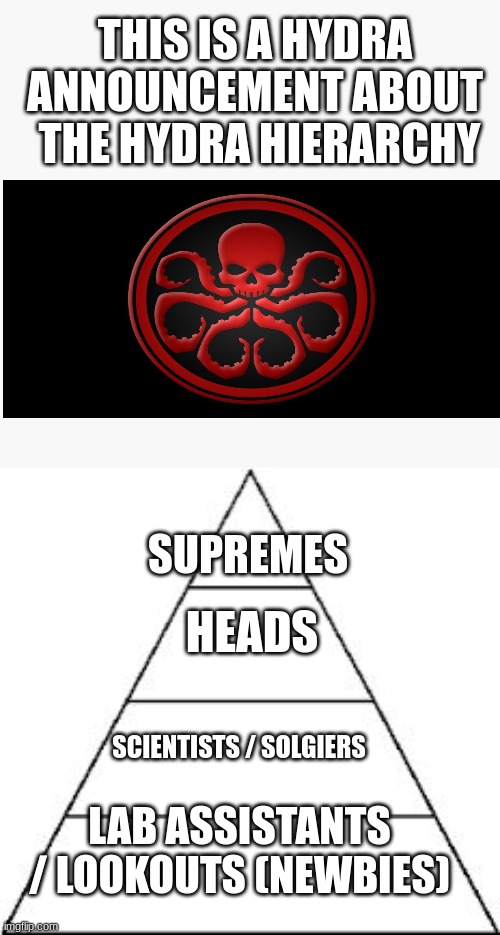 four tier hierarchy | THIS IS A HYDRA ANNOUNCEMENT ABOUT  THE HYDRA HIERARCHY; SUPREMES; HEADS; SCIENTISTS / SOLGIERS; LAB ASSISTANTS / LOOKOUTS (NEWBIES) | image tagged in four tier hierarchy | made w/ Imgflip meme maker