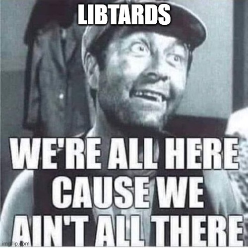 Democrats in Congress | LIBTARDS | image tagged in democrats in congress | made w/ Imgflip meme maker