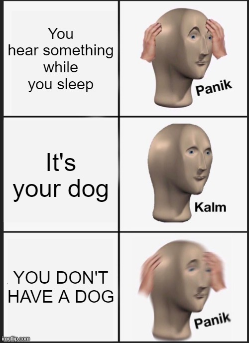Memes from before your dad left | You hear something while you sleep; It's your dog; YOU DON'T HAVE A DOG | image tagged in memes,panik kalm panik | made w/ Imgflip meme maker