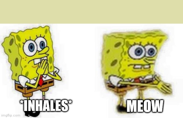 Spongebob *Inhale* Boi |  MEOW; *INHALES* | image tagged in spongebob inhale boi | made w/ Imgflip meme maker
