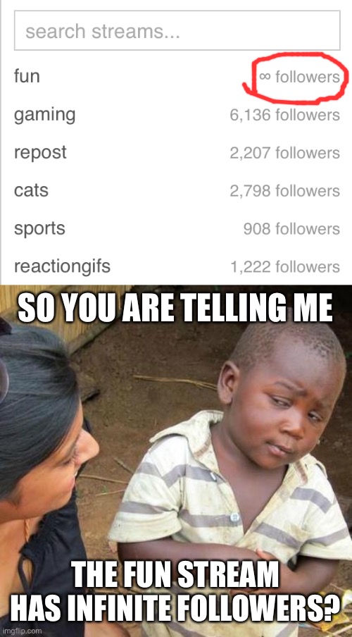 SO YOU ARE TELLING ME; THE FUN STREAM HAS INFINITE FOLLOWERS? | image tagged in memes,third world skeptical kid | made w/ Imgflip meme maker