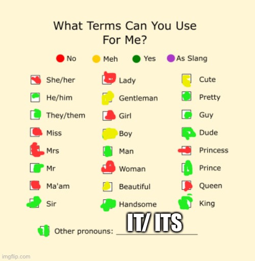 :] | IT/ ITS | image tagged in pronouns sheet | made w/ Imgflip meme maker