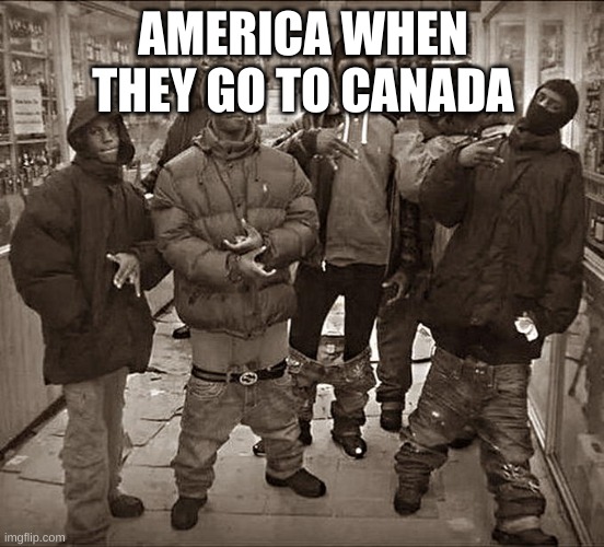 All My Homies Hate | AMERICA WHEN THEY GO TO CANADA | image tagged in all my homies hate | made w/ Imgflip meme maker