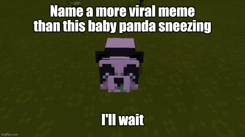 Name a more viral meme | Name a more viral meme than this baby panda sneezing; I'll wait | image tagged in panda,memes | made w/ Imgflip meme maker