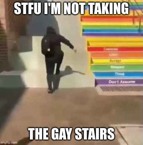 gay stairs | STFU I'M NOT TAKING THE GAY STAIRS | image tagged in gay stairs | made w/ Imgflip meme maker