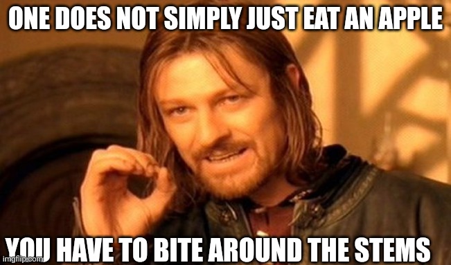 You can't say I'm wrong | ONE DOES NOT SIMPLY JUST EAT AN APPLE; YOU HAVE TO BITE AROUND THE STEMS | image tagged in memes,one does not simply | made w/ Imgflip meme maker