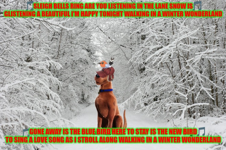 scooby doo sings the classics volume 4: christmas edition | SLEIGH BELLS RING ARE YOU LISTENING IN THE LANE SNOW IS GLISTENING A BEAUTIFUL I'M HAPPY TONIGHT WALKING IN A WINTER WONDERLAND; GONE AWAY IS THE BLUE BIRD HERE TO STAY IS THE NEW BIRD TO SING A LOVE SONG AS I STROLL ALONG WALKING IN A WINTER WONDERLAND | image tagged in snowy forest,warner bros,scooby doo,christmas,dogs,birds | made w/ Imgflip meme maker