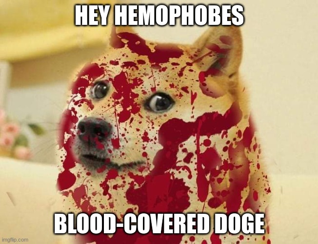 Bloody doge | HEY HEMOPHOBES; BLOOD-COVERED DOGE | image tagged in bloody doge | made w/ Imgflip meme maker