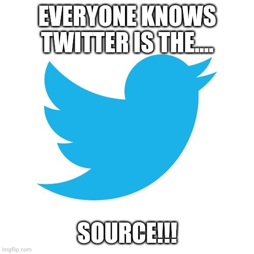 Twitter birds says | EVERYONE KNOWS TWITTER IS THE.... SOURCE!!! | image tagged in twitter birds says | made w/ Imgflip meme maker