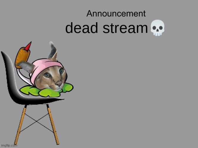 or maybe i'm just stupid | dead stream💀 | image tagged in announcement | made w/ Imgflip meme maker