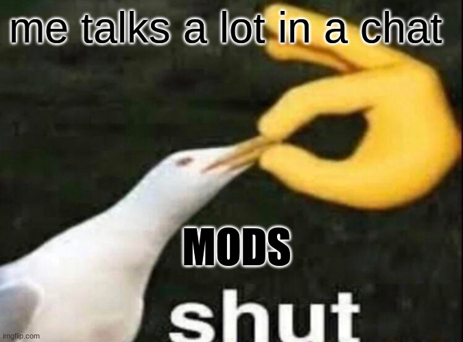 SHUT | me talks a lot in a chat; MODS | image tagged in shut | made w/ Imgflip meme maker
