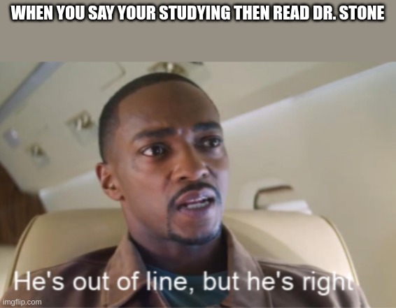 I'm not wrong | WHEN YOU SAY YOUR STUDYING THEN READ DR. STONE | image tagged in he's out of line but he's right isolated | made w/ Imgflip meme maker