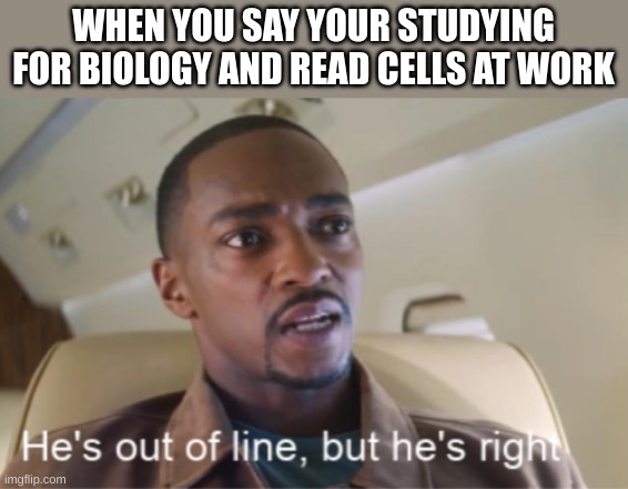 still not wrong | WHEN YOU SAY YOUR STUDYING FOR BIOLOGY AND READ CELLS AT WORK | image tagged in he's out of line but he's right isolated | made w/ Imgflip meme maker