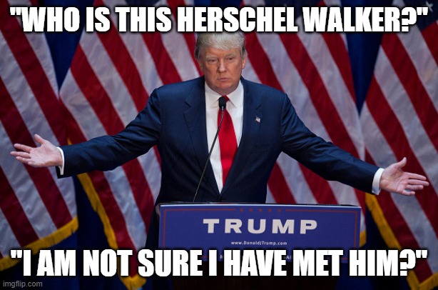 Who is Herschel? | "WHO IS THIS HERSCHEL WALKER?"; "I AM NOT SURE I HAVE MET HIM?" | image tagged in donald trump,walker | made w/ Imgflip meme maker