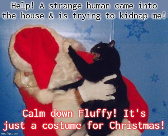 Misunderstanding. |  Help! A strange human came into the house & is trying to kidnap me! Calm down Fluffy! It's just a costume for Christmas! | image tagged in cat attacks santa,confusion,holidays | made w/ Imgflip meme maker