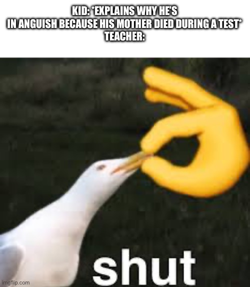 If we talk for 0.03 nanoseconds | KID: *EXPLAINS WHY HE’S IN ANGUISH BECAUSE HIS MOTHER DIED DURING A TEST*
TEACHER: | image tagged in shut bird | made w/ Imgflip meme maker